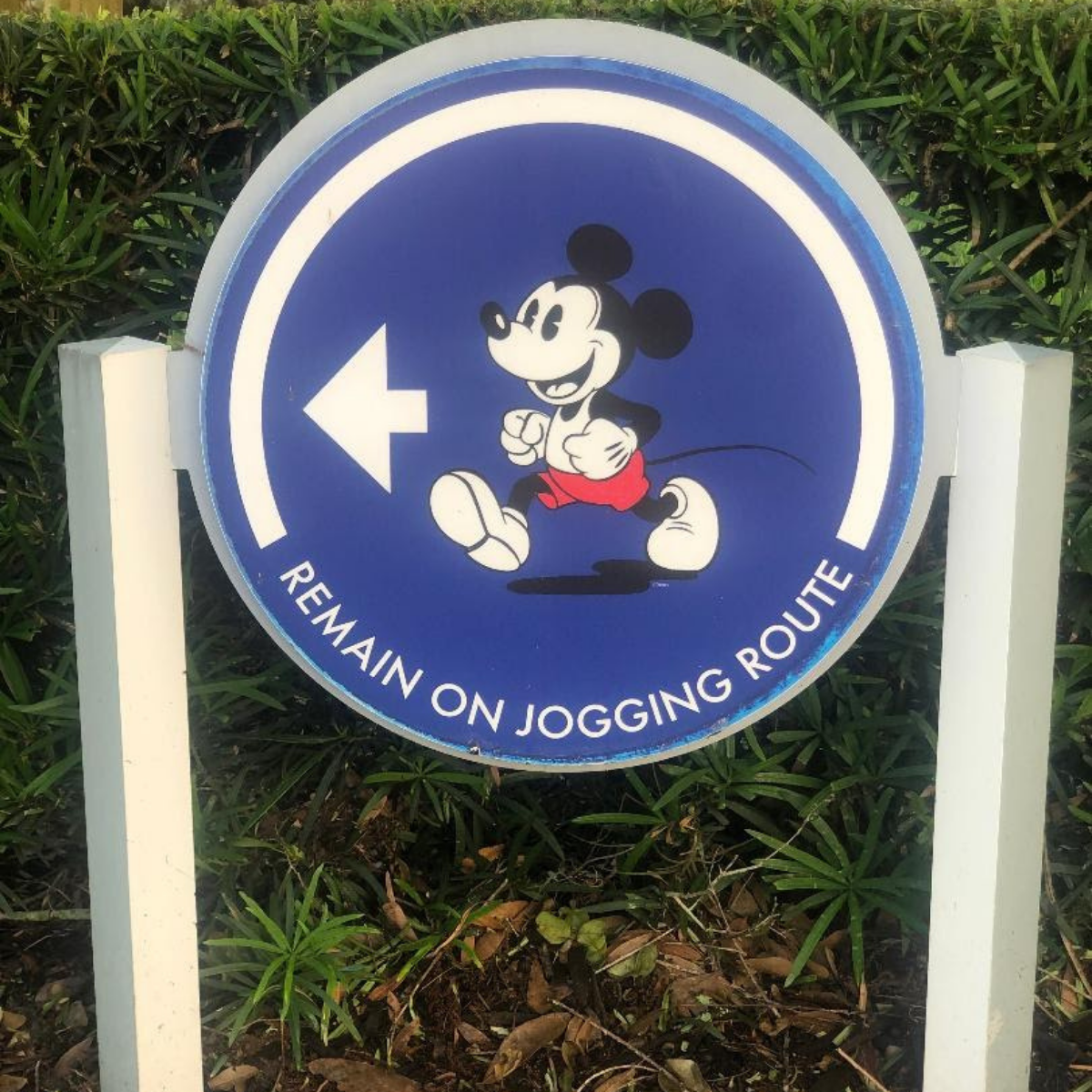 Running on Disney Property